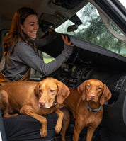 Ram Promaster Stealth Front Windshield Cover