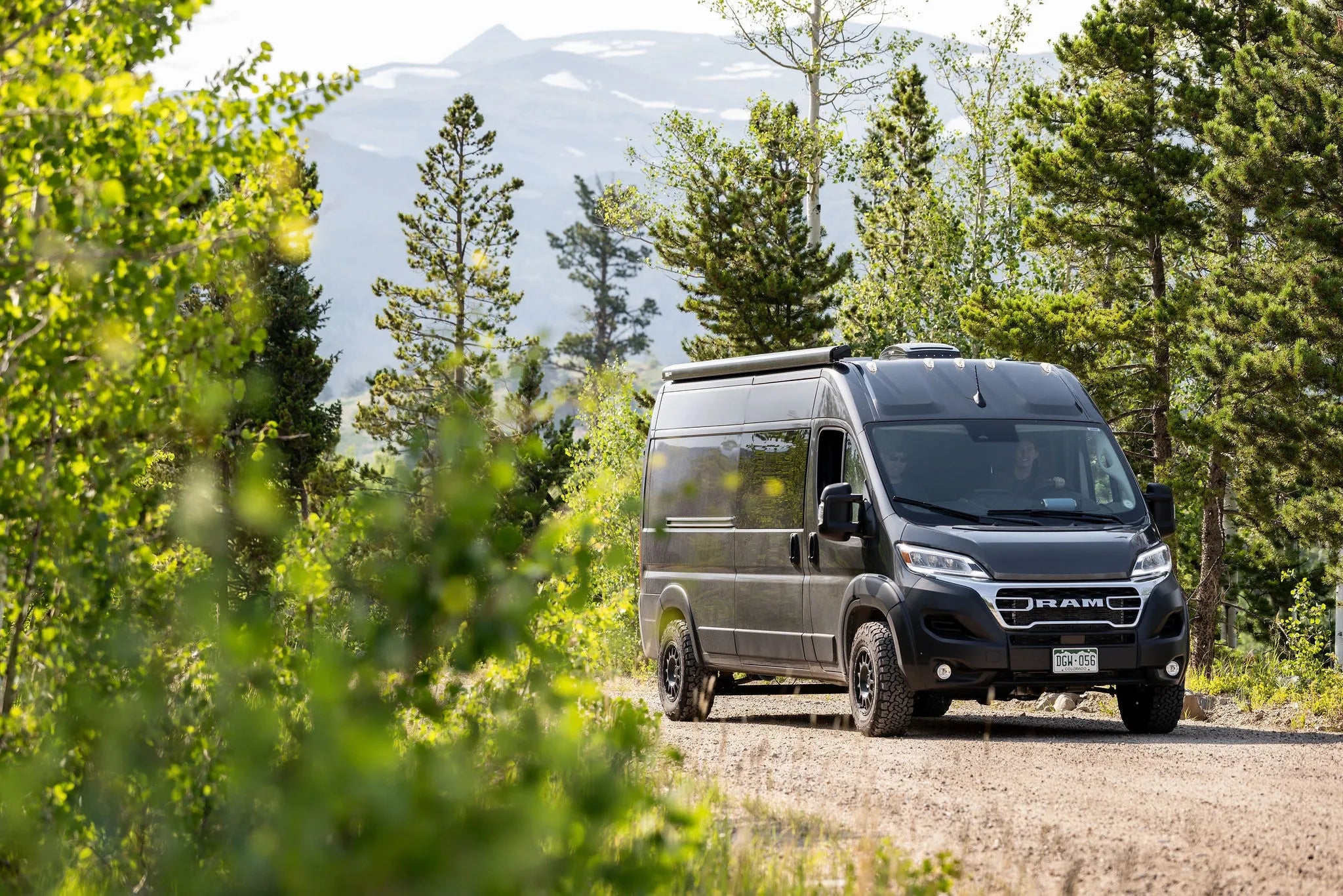 Promaster_1.webp